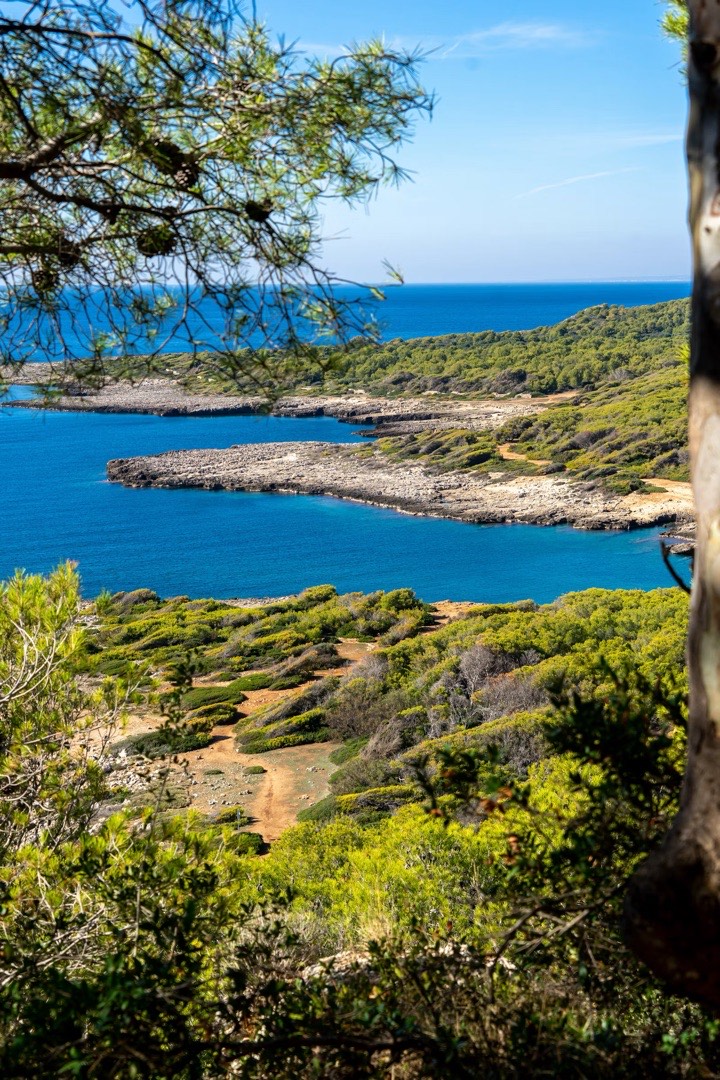 Acqua turchese e roccia bianca sulla costa adriatica