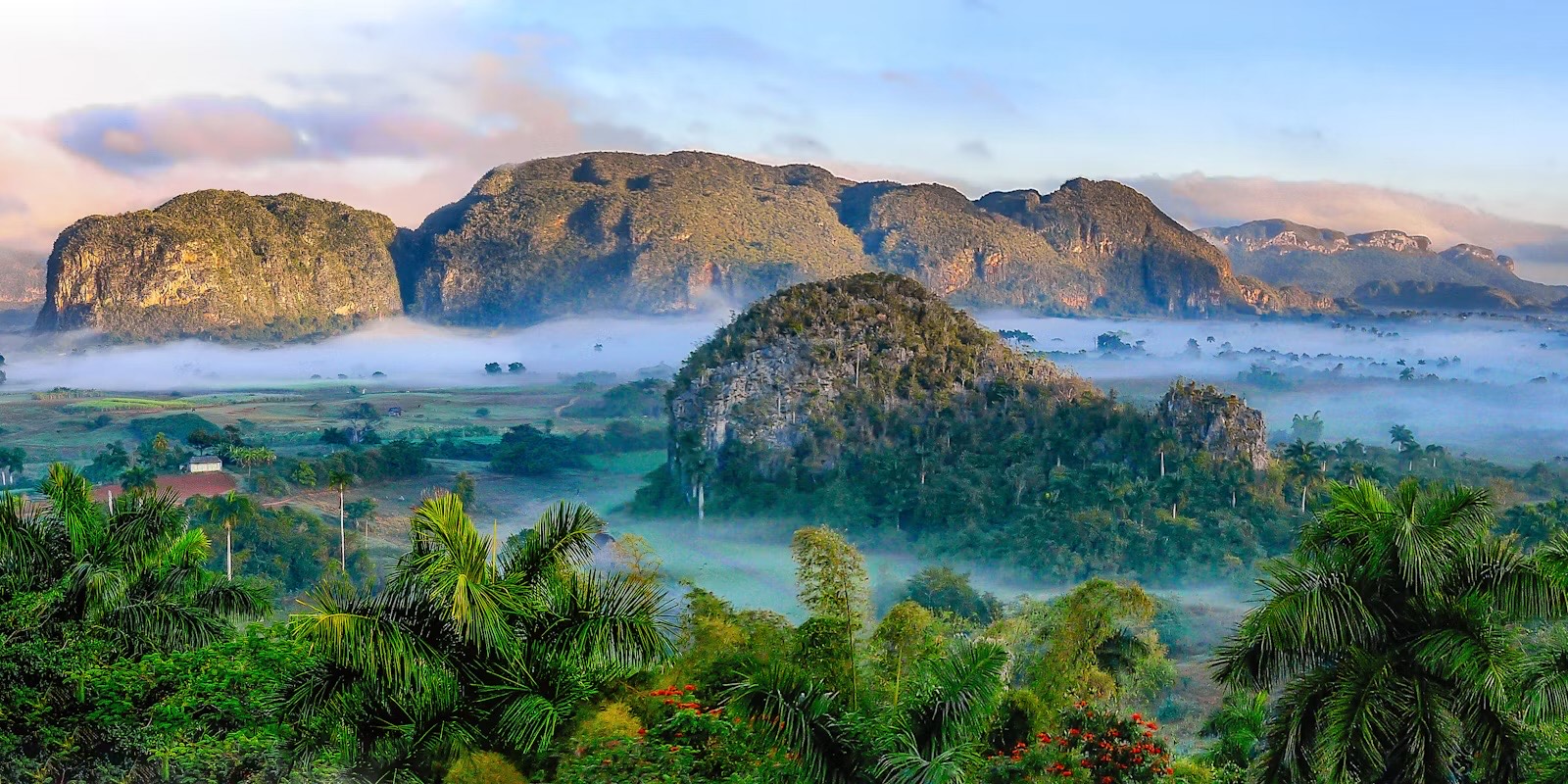 Colline e palme nella valle di Viñales