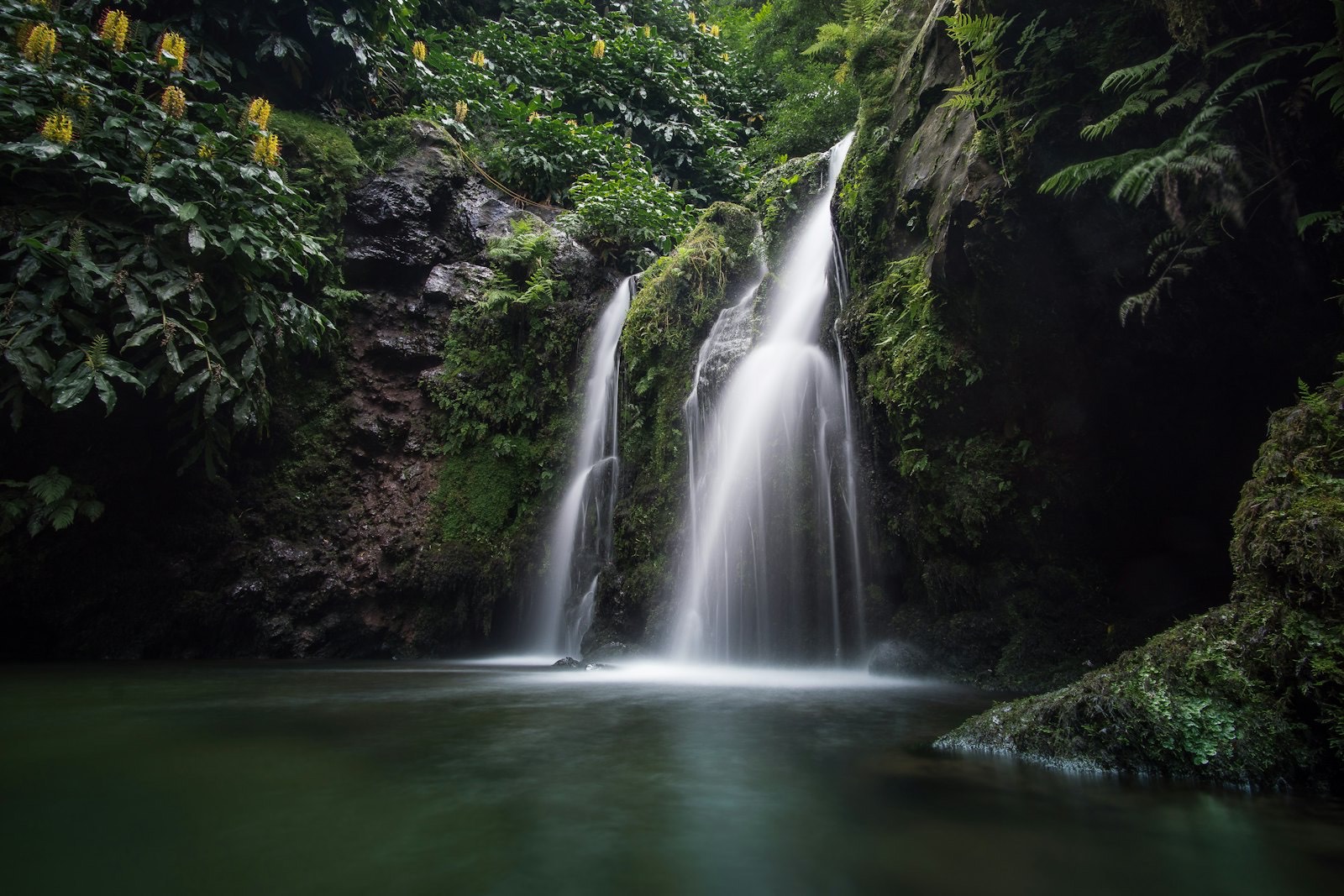 Cascata in una gola coperta di vegetazione